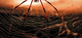 Technical problems with web Technical problems with web